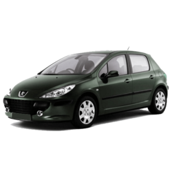 Peugeot 307 2000 - 2005 (T5)