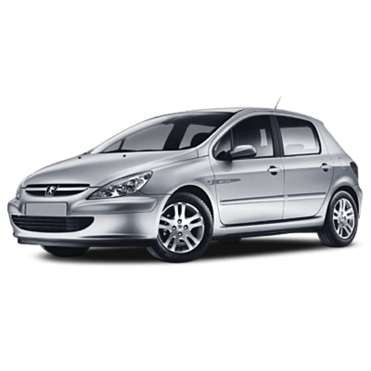 Peugeot 307 2005 - 2007 (T6) Peugeot 307 2005 - 2007 (T6)