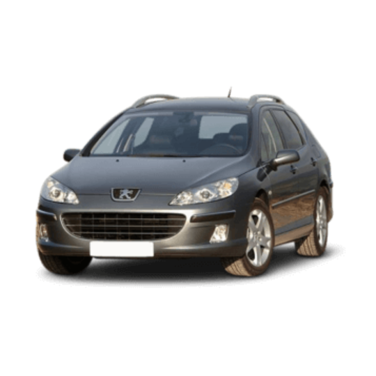 Peugeot 407 Wagon 2004 - 2011 (D2)